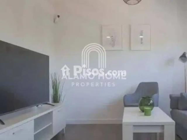 Piso en alquiler en Calle de Ricardo Damas