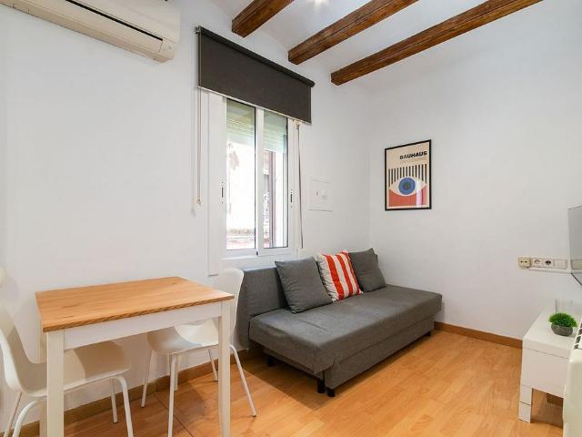 Piso en alquiler en calle De Sant Miquel, Barcelona, de 35 m² 1 habitación por 1.000