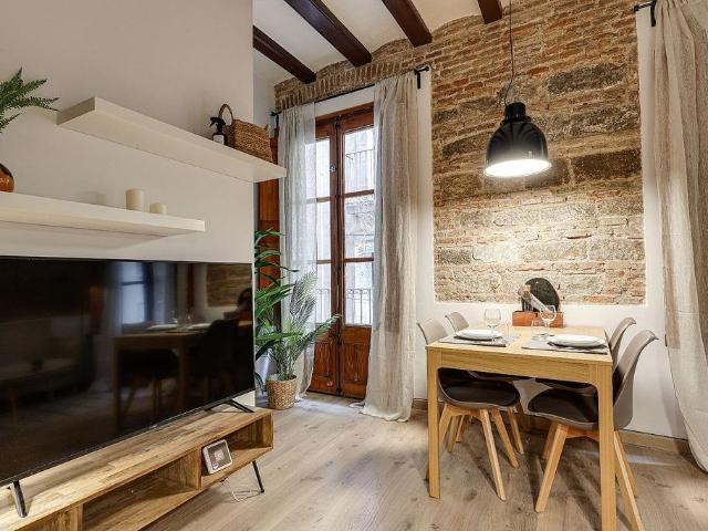 Piso en alquiler en calle Dels Banys Vells, Barcelona, de 45 m² 1 habitación por 943
