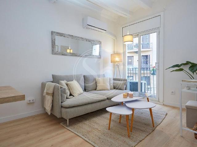 Piso en alquiler en calle D'en Botella, Barcelona, de 29 m² 1 habitación por 1.095