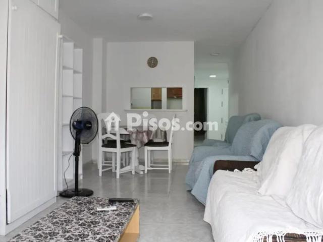 Piso en alquiler en Calle Dr Carracido, Número 14