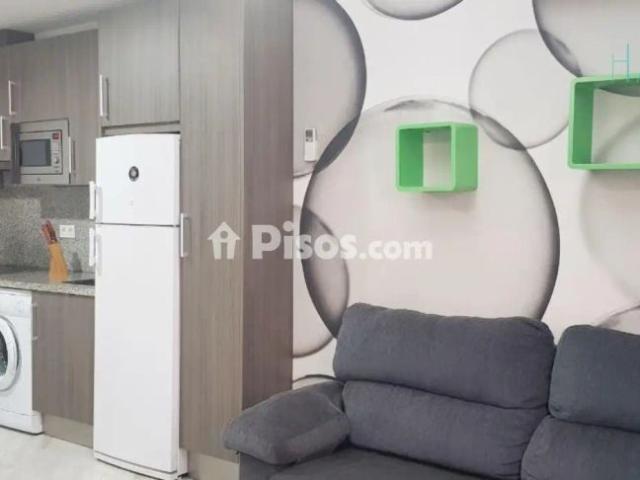 Piso en alquiler en Calle Horno de Cartuja