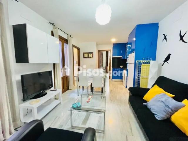 Piso en alquiler en Calle Jardines