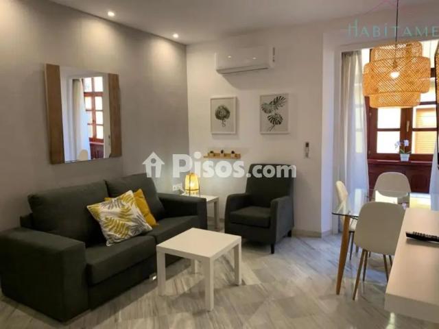 Piso en alquiler en Calle Jardines