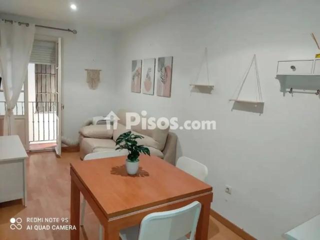 Piso en alquiler en Calle Pelota