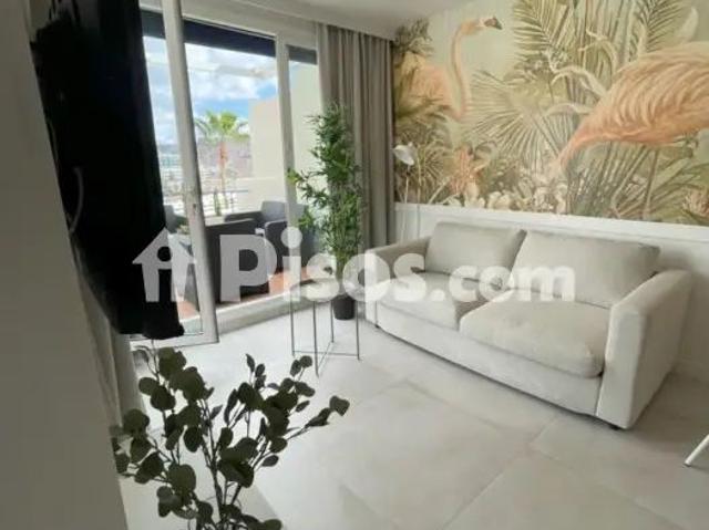 Piso en alquiler en Calle Petrel