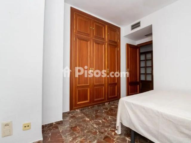 Piso en alquiler en Calle Profesor Motos Guirao