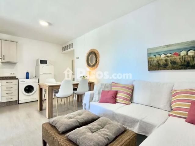 Piso en alquiler en Calle Ps Maritimo Rey de España 35 Es:1 Pl:02 Pt:28 2964