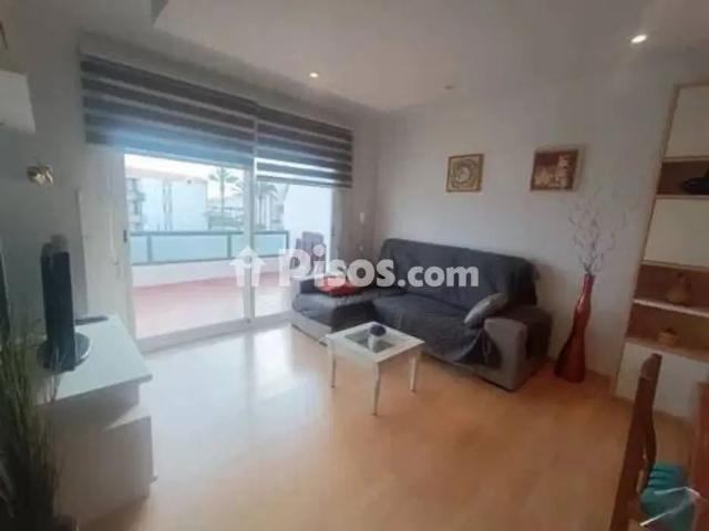 Piso en alquiler en Camino de la Fragua