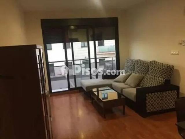 Piso en alquiler en Campus de La Salud Palacio de los Deportes