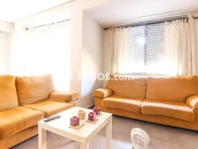 Piso en alquiler en Carrer del Doctor Vicente Pallarés Iranzo