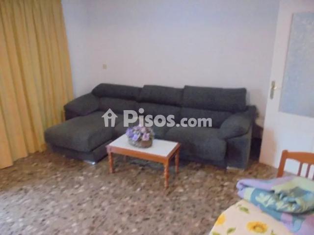 Piso en alquiler en Carrer José Sánchez Sáez