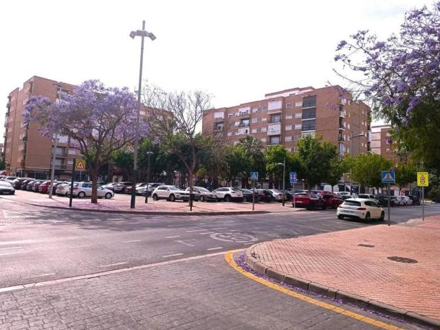 Piso en Alquiler en Cartagena