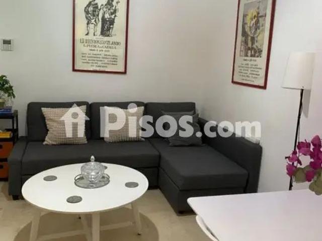 Piso en alquiler en Centro