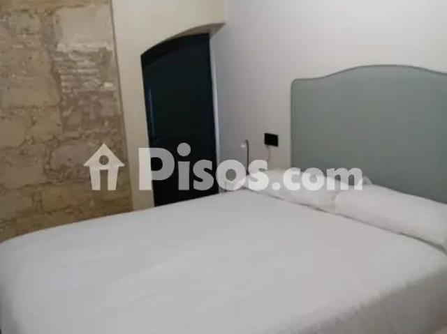 Piso en alquiler en Centro