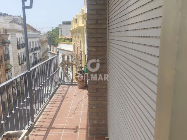 Piso en alquiler en Centro Sevilla – Sevilla | Gilmar Consulting