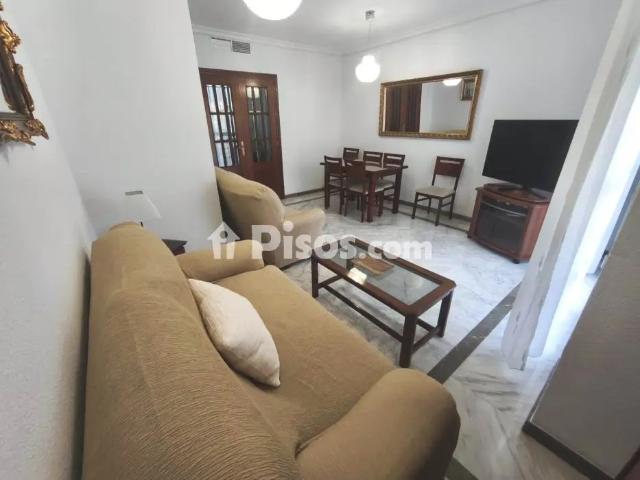 Piso en alquiler en Ciudad Jardín Zoco