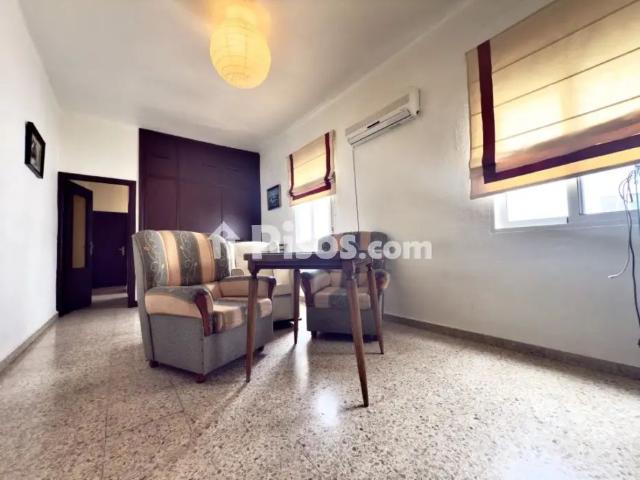 Piso en alquiler en Ciudad Jardín Zoco