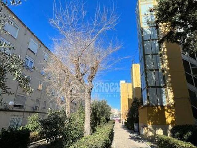 Piso en alquiler en Ciudad Lineal