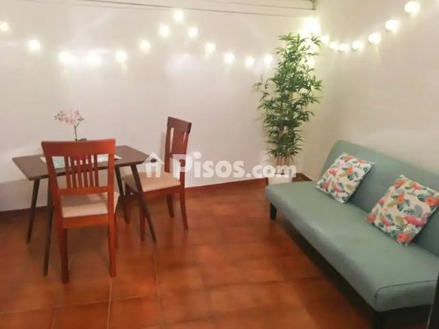 Piso en alquiler en El Botánico