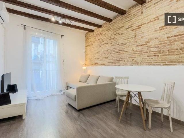 Piso en Alquiler en El Raval