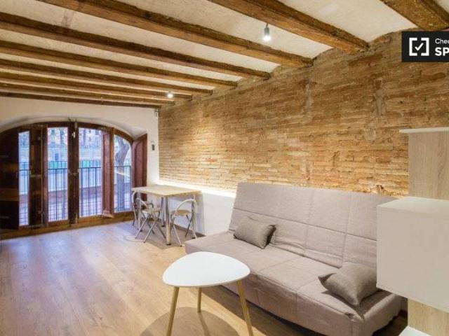 Piso en Alquiler en El Raval
