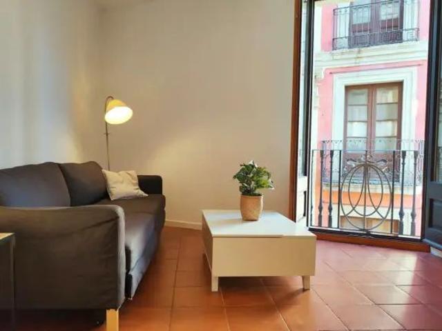 Piso en alquiler en El Raval