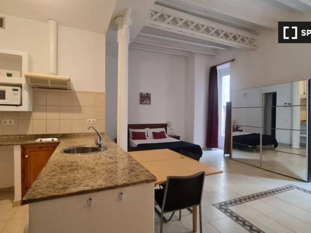 Piso en Alquiler en El Raval