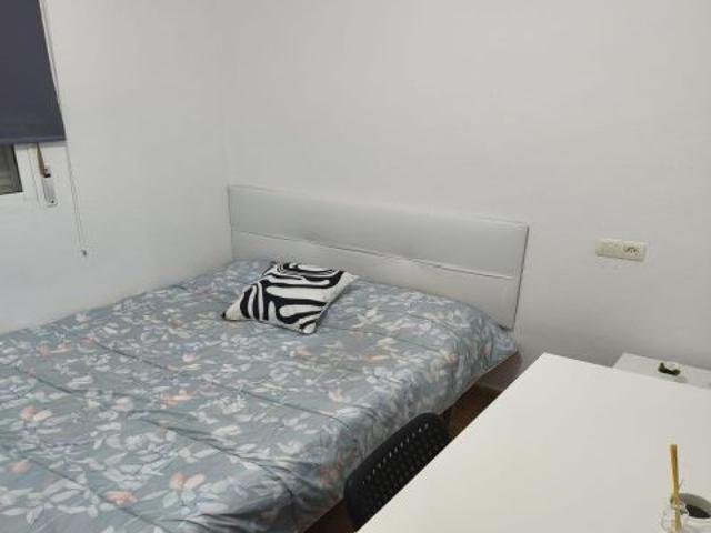 Piso en alquiler en el Zapillo Estudiantes