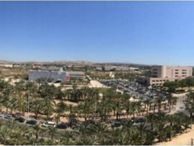 Piso en Alquiler en Elche Elx