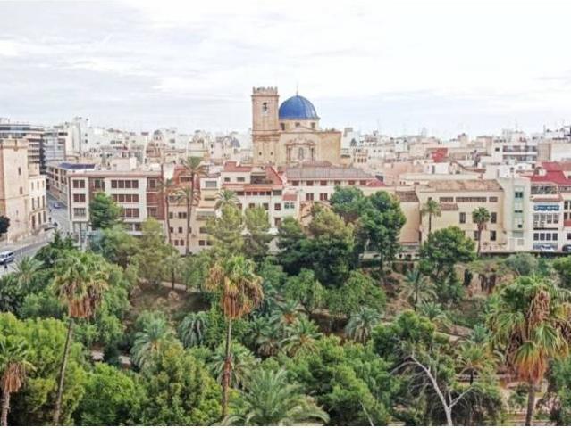 Piso en Alquiler en Elche Elx