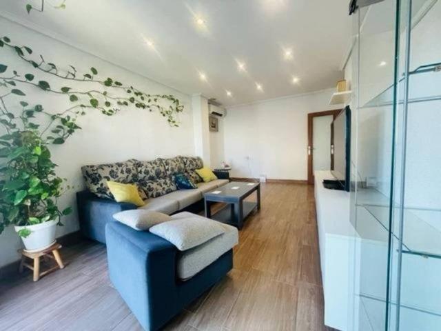 Piso en Alquiler en Elche Elx