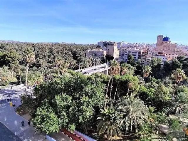 Piso en Alquiler en Elche Elx