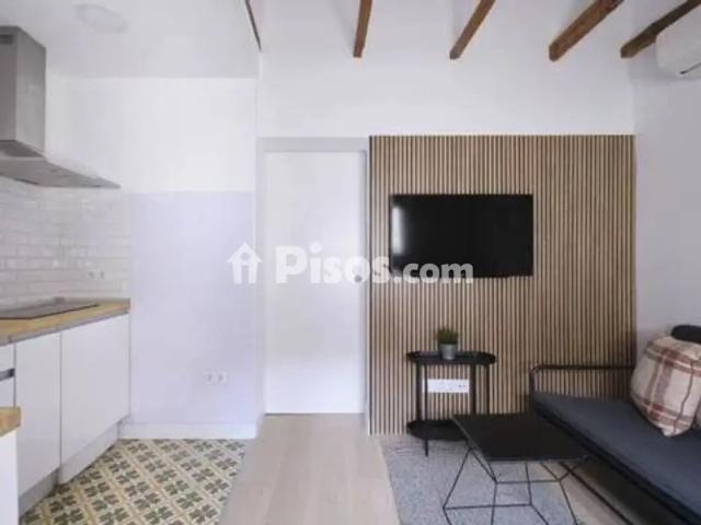 Piso en alquiler en Embajadores Lavapiés