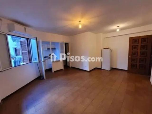 Piso en alquiler en Encarnación Regina