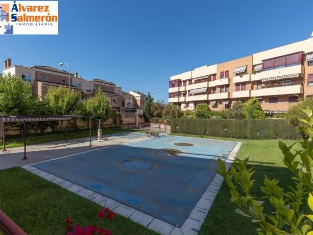 Piso en alquiler en Granada, Parque del genil