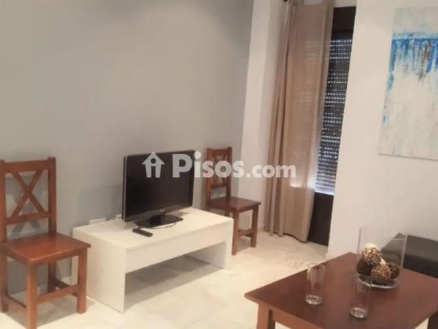 Piso en alquiler en Puerta Sevilla