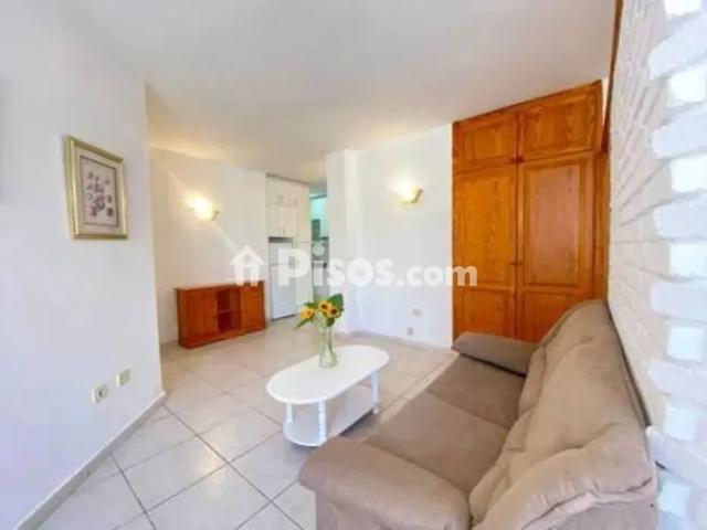 Piso en alquiler en Puerto Canteras