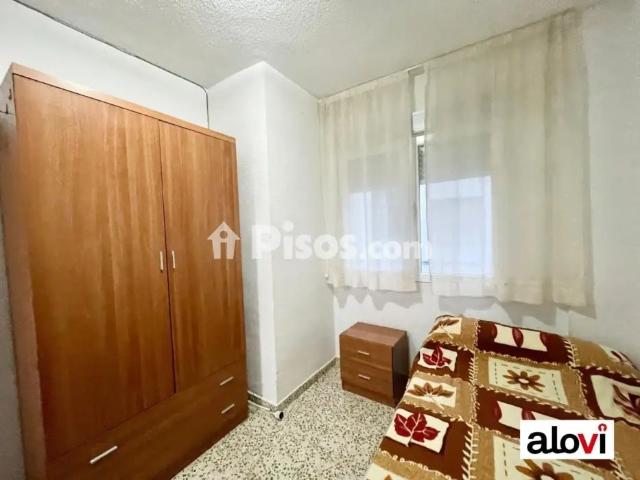 Piso en alquiler en Pajaritos
