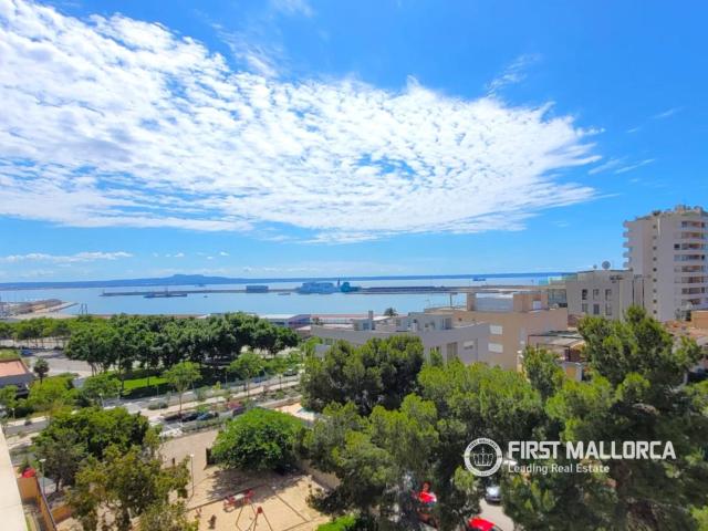 Piso en alquiler en Palma de Mallorca Baleares