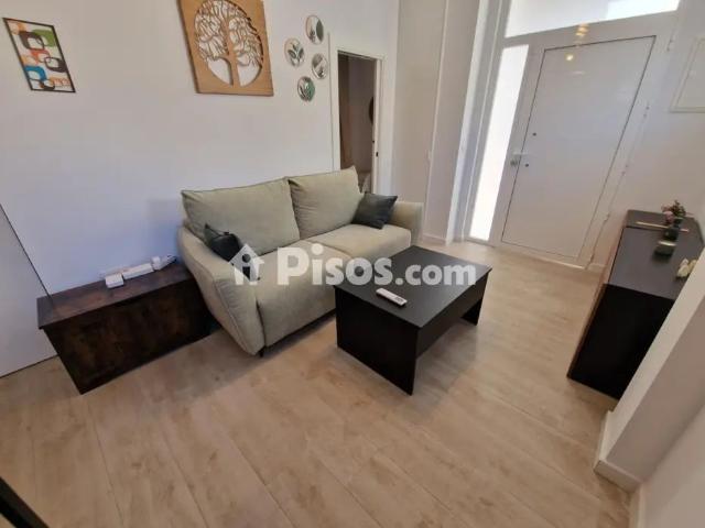 Piso en alquiler en Paseo de Parra