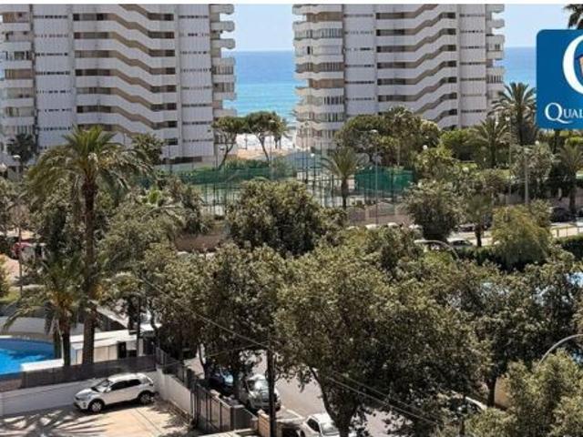 Piso en Alquiler en Playa de San Juan Alicante Ref: A MYR P1527S