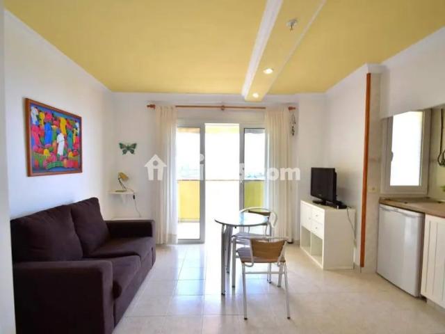 Piso en alquiler en Playa Jardín