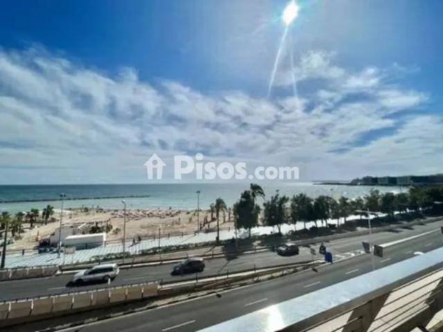 Piso en alquiler en Raval Roig