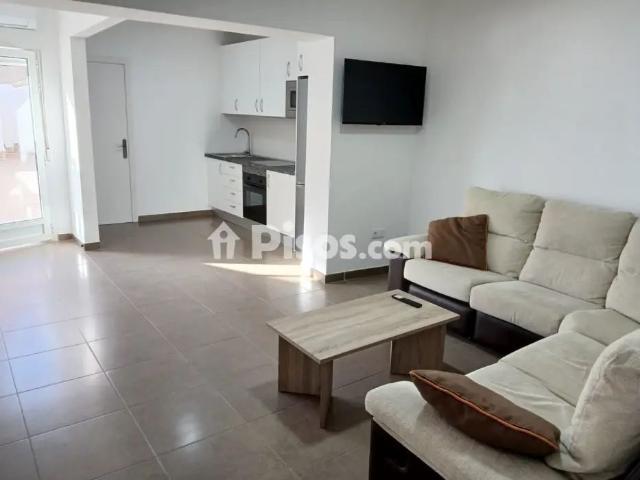 Piso en alquiler en San Vicente del Raspeig