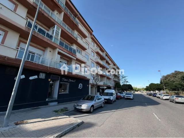 Piso en alquiler en San Antonio Estación Las Hervencias