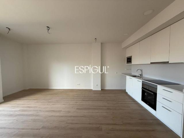 Piso en Alquiler en Sant Narcís