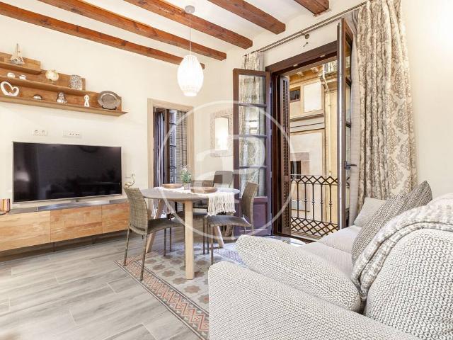 Piso en Alquiler en Sant Pere, Sta. Caterina i la Ribera