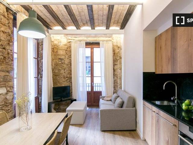 Piso en Alquiler en Sant Pere, Sta. Caterina i la Ribera