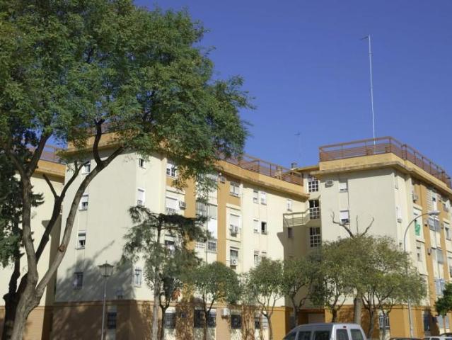 Piso en alquiler en Sevilla, Oliva Tiro De Linea